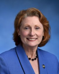 Jo Anne Simon