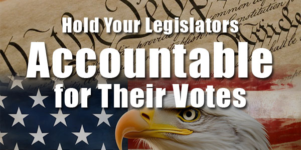 Hold Elected Officials Accountable